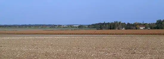 vue d'un paysage agricole de plaine limité à l'horizon par des arbres