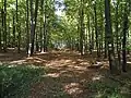 L'ancienne voie de la ligne vicinale Marloie-Bastogne