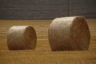 Balles de paille cylindriques, France.