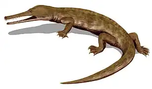Reconstitution d'un Champsosaurus.