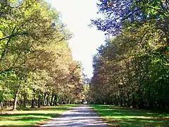 La route d'Avilly au parc de Chantilly.