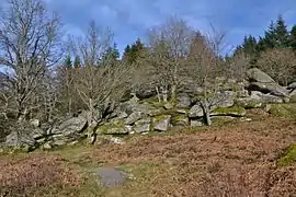 Chaos du Maupuy (Saint-Léger-le-Guérétois, Creuse).