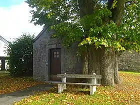 Ensemble formé par la chapelle Sainte-Geneviève, les tilleuls et la pelouse qui l'entourent à Izier