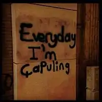 1er juin 2013, Graffiti de Turquie. Jeu de mot avec « Every day I’m Shuffling. », paroles du titre Party Rock Anthem du groupe LMFAO.