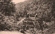 Charbonniers dans la montagne de Lure au début du XXe siècle