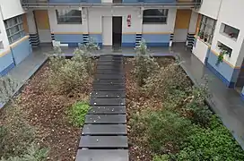 photo d'un jardin à l'intérieur d'un bâtiment, le jardin est séparé en deux par une passerelle formée par des lattes pour les piétons