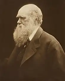 Portrait de trois-quarts en noir et blanc, d'un homme portant une longue barbe blanche.
