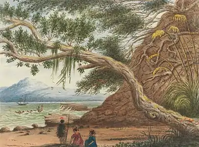 Vue près d'Auckland : Guerrier Maori et sa femme (1860).
