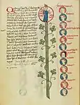 La descendance de Charles VI et d'Isabeau de Bavière. Miniature tirée de Arbor genealogica regum Franciae, XVe siècle.