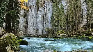 Rapides sur le Doubs en aval du barrage du Refrain.