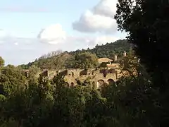 La Chartreuse dans le massif des Maures