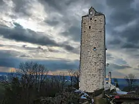 La tour du château Saint-Denis.