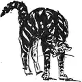 Un des nombreux chats dessinés par Mérimée.