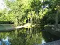 Etang dans le parc