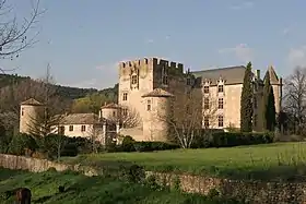 Château d'Allemagne-en-Provence