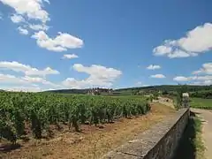 Clos-vougeot