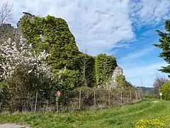 Le château de Fages.