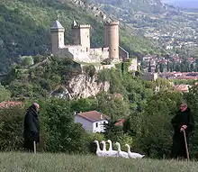 Château de Foix.