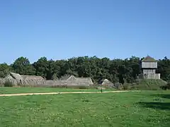 Vue d'ensemble du château à motte.