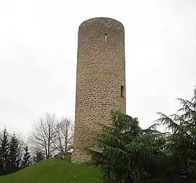 Vestiges du château comtal de Cleppé.