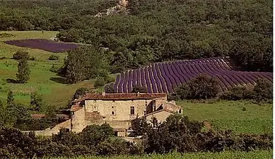 Ferme fortifiée ou château d'Alançon.