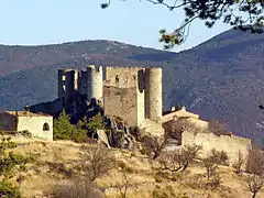 Ruines du château.