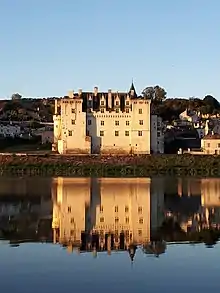 Photographie en plan serré du château de Montsoreau et de son reflet dans la Loire.