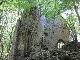 Les ruines du château de Vaite.