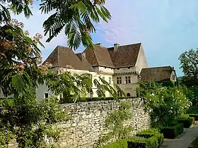 Image illustrative de l’article Château de Losse