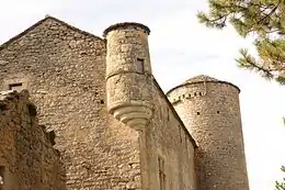 Château de Mas Rougier
