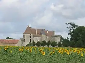 Le château de Rioux.