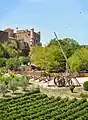 Chateau des Roure et son parc médiéval