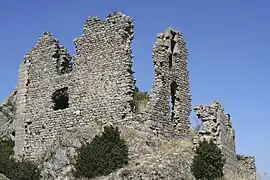 Ruines du château de Pierregourde.