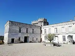 La cour d'honneur avec le donjon et le puits.