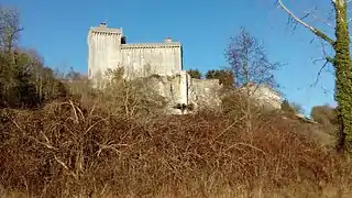 Le donjon, vue de la vallée.