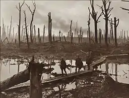Photographie en noir et blanc d'une forêt qui apparemment a été ravagée par un bombardement.