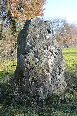 Image illustrative de l’article Menhir de la Limouzinière