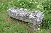 Dolmen de la Boissonnière