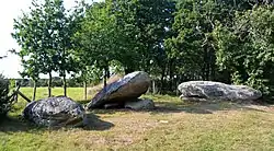 Image illustrative de l’article Menhirs des Platennes