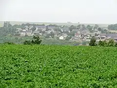 Chavigny vue de la route venant de Cuffies.