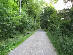 Ancienne plateforme ferroviaire transformée en chemin de randonnée en Ontario.