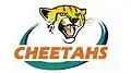 Logo du Cheetahs