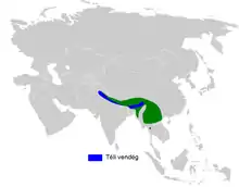 carte de répartition de Chelidorhynx