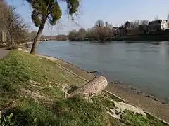 La Marne à Chelles, quai Auguste Prévost.