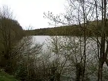 Vue d'un grand plan d'eau derrière un rideau d'arbres.