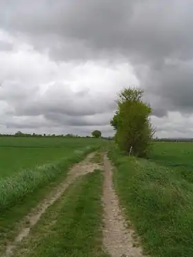 Image illustrative de l’article Voie romaine de Saintes à Périgueux