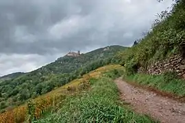 Chemin avec vue sur les châteaux du Saint-Ulrich et du Girsberg.