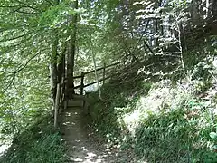 Escalier forestier menant à la chartreuse depuis le parking