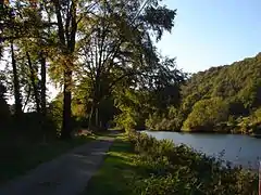 Photographie en couleurs d'un chemin à l'ombre des arbres longeant un cours d'eau.