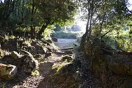 Chemin de randonnée à Moca Croce